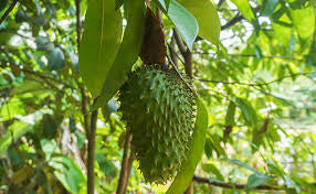 Corosol (3kg)