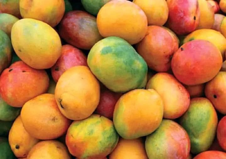 Mangue noukourouni (3kg)