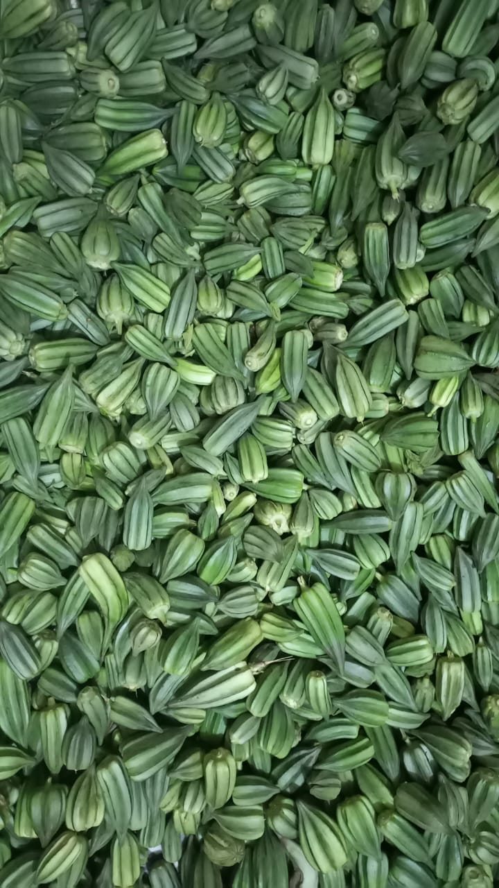 Gombo frais (3kg)