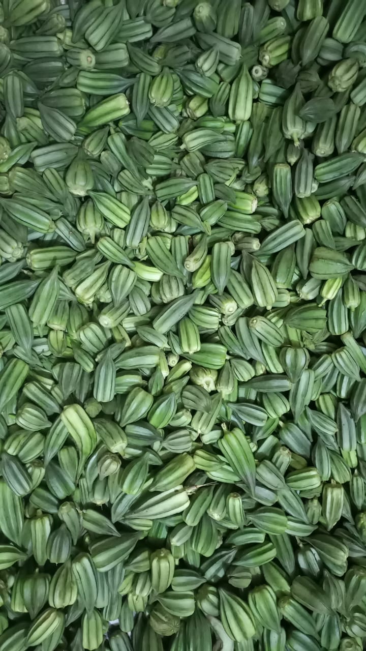 Gombo frais (3kg)