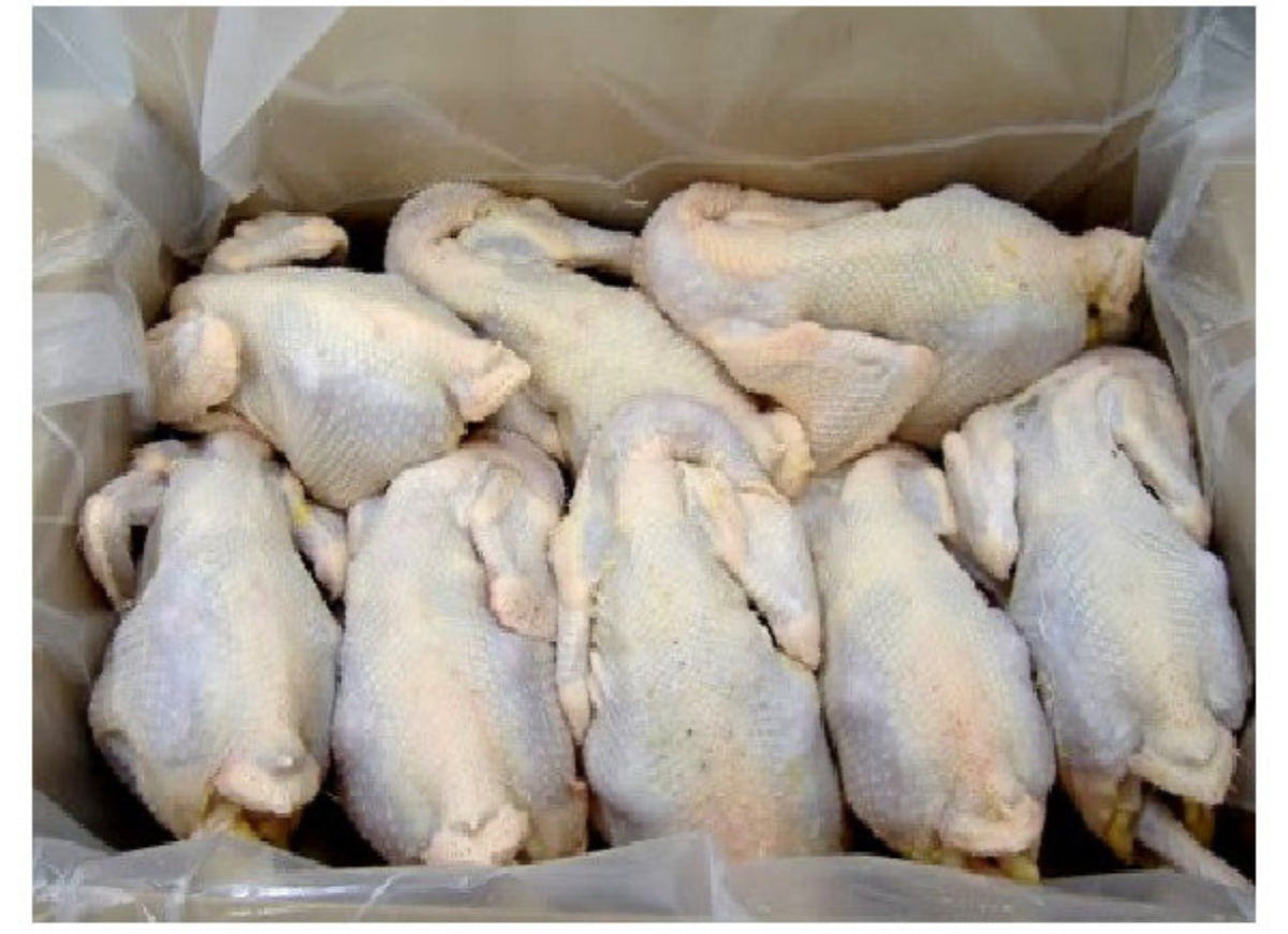 Carton de poule sans hormones, gout comme au pays - Fatou Délices