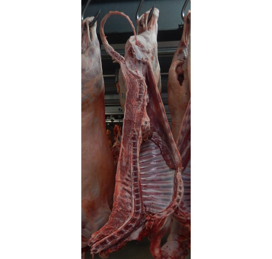 Un Demi (1/2) Agneau (12,5 kg / carcasse)