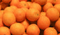 Orange (10 unités)
