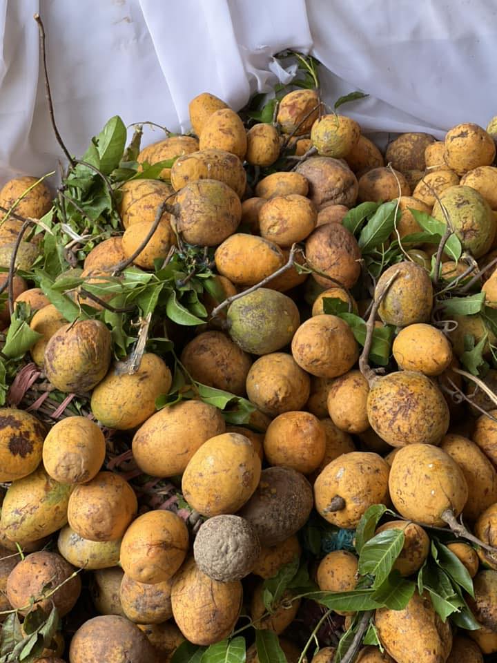 Panier fruits et legumes africains