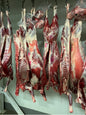 Chèvre entière (poids moyen 15 kg)