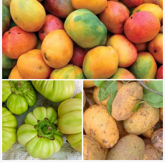 Mangue/Aubergine/Zaban au choix (3kg)