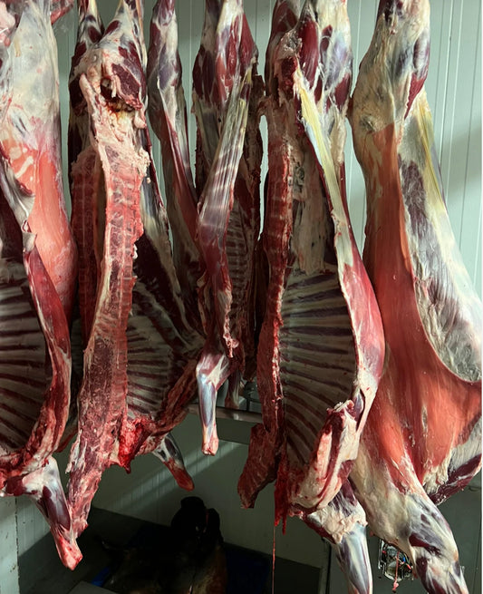 Un Demi (1/2) mouton/agneau (8kg)