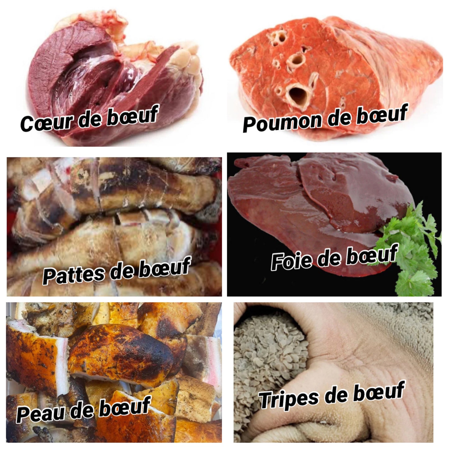 Le villageois (6 kg)