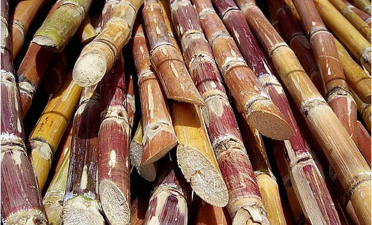 Canne à sucre (1kg)