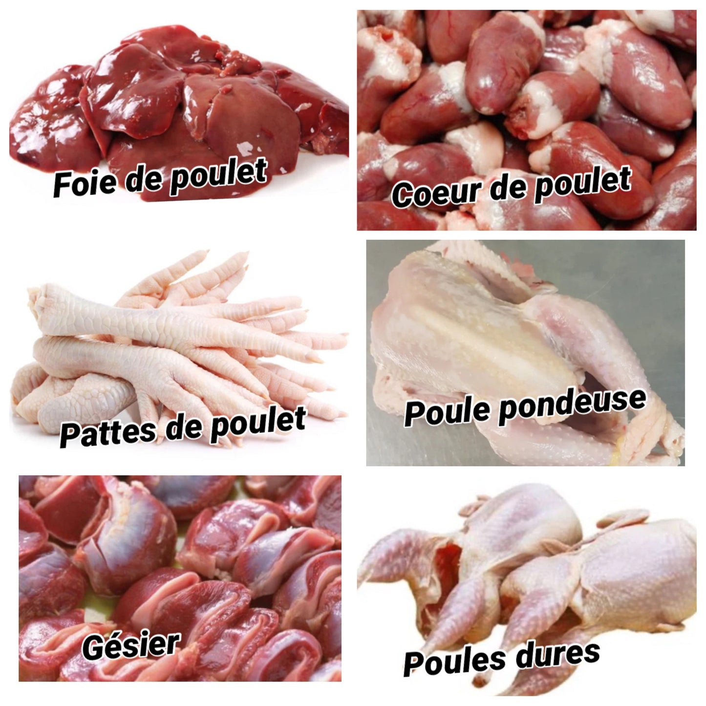 Le grouilleur (6 kg)