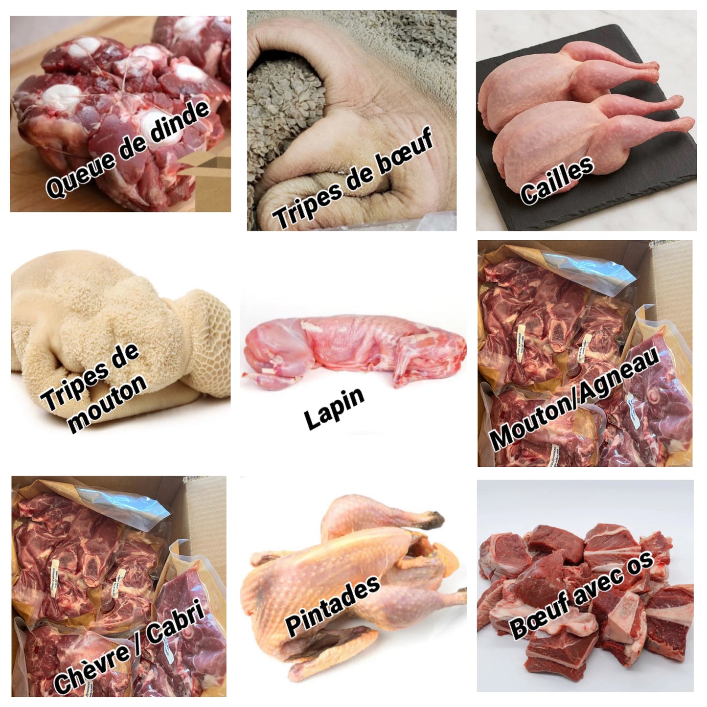 Les éléphants 🇨🇮 (10 kg)