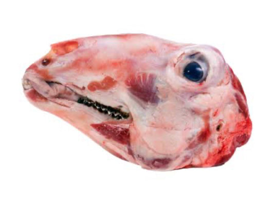 Tête de mouton (unité)