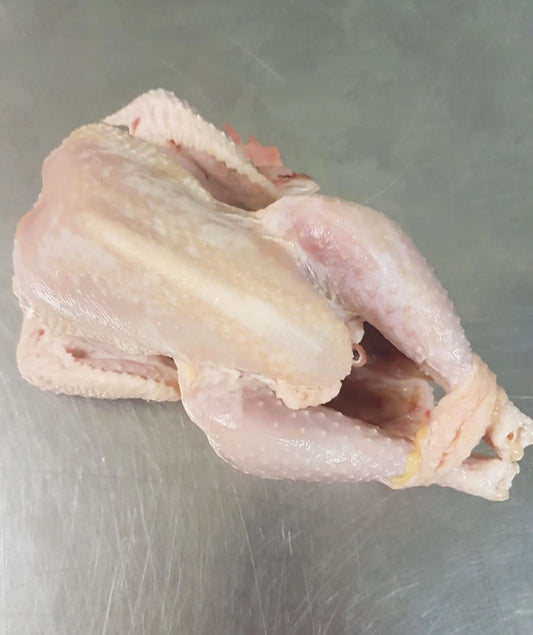 Poule pondeuse du pays