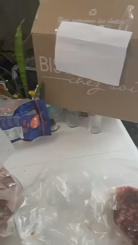 Charger la vidéo : 