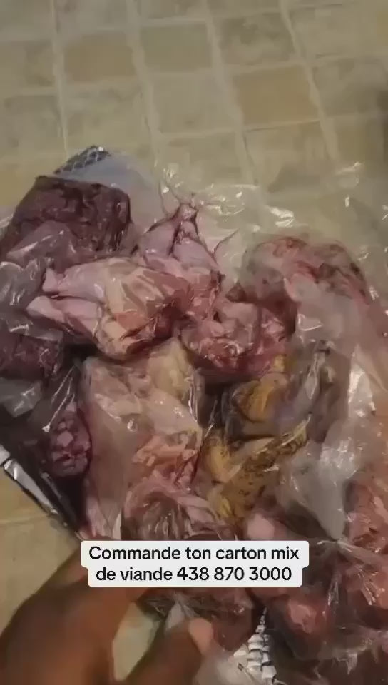 Charger la vidéo : 