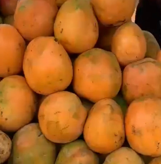 Grosse mangue sucrée d’Afrique /kg